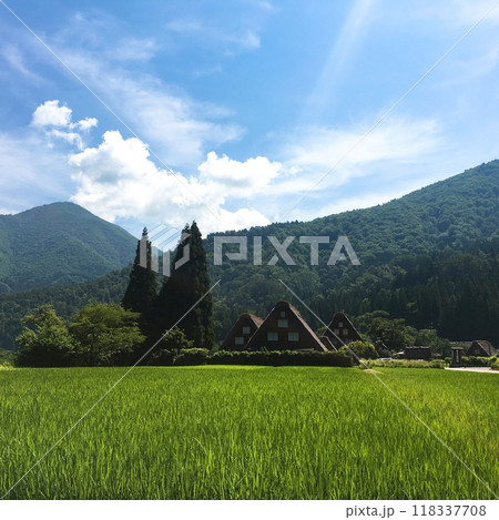 岐阜・白川郷の夏 岐阜・白川郷の夏 118337708