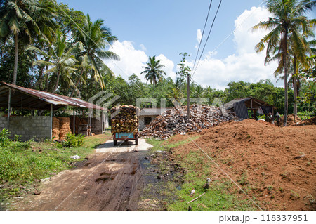 coconut coir rope making with traditional process 118337951