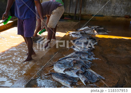 Workers at a small fish factory 118337953