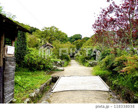 浄瑠璃寺の環境保全地域の自然あふれる参道の風景 京都府木津川市加茂町 浄瑠璃寺の環境保全地域の自然あふれる参道の風景 京都府木津川市加茂町 118338038