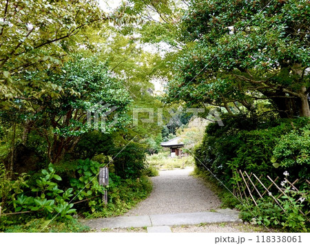 浄瑠璃寺 山門をくぐると緑のトンネル越しに本堂がちらりと見える風景  京都府木津川市加茂町 浄瑠璃寺 山門をくぐると緑のトンネル越しに本堂がちらりと見える風景  京都府木津川市加茂町 118338061