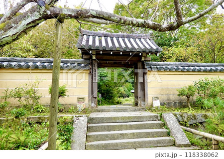 浄瑠璃寺　冬枯れの桜の古木越しに山門を見た風景　京都府木津川市加茂町 118338062