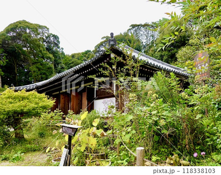 浄瑠璃寺 環境保全地域のあふれる自然に囲まれた本堂の風景 京都府木津川市加茂町 浄瑠璃寺 環境保全地域のあふれる自然に囲まれた本堂の風景 京都府木津川市加茂町 118338103
