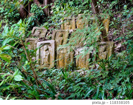 浄瑠璃寺　境内にひっそりと苔むす石板の仏たち　京都府木津川市加茂町 118338105