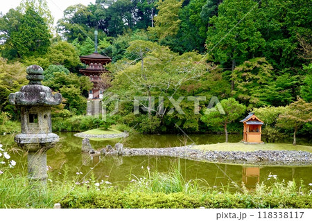浄瑠璃寺　石灯籠越しに宝池と三重塔を見た風景　京都府木津川市加茂町 118338117