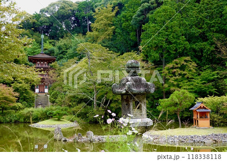 浄瑠璃寺　コスモスと石灯籠越しに宝池と三重塔を見た風景　京都府木津川市加茂町 118338118