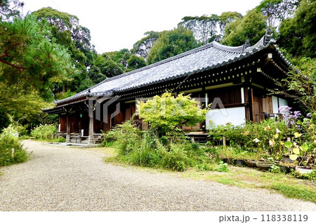 浄瑠璃寺　環境保全地域のあふれる自然に囲まれた本堂の風景　京都府木津川市加茂町 118338119