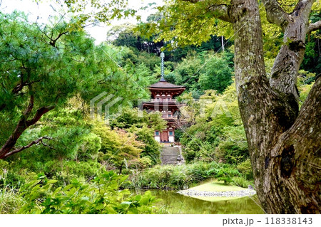 浄瑠璃寺　環境保全地域のあふれる自然の中に垣間見える国宝三重塔　京都府木津川市加茂町 118338143