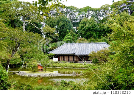 浄瑠璃寺　環境保全地域のあふれる自然の中に垣間見える本堂の風景　京都府木津川市加茂町 118338210