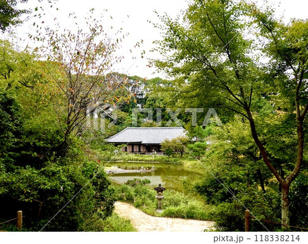 浄瑠璃寺 環境保全地域のあふれる自然の中に垣間見える本堂の風景 京都府木津川市加茂町 浄瑠璃寺 環境保全地域のあふれる自然の中に垣間見える本堂の風景 京都府木津川市加茂町 118338214