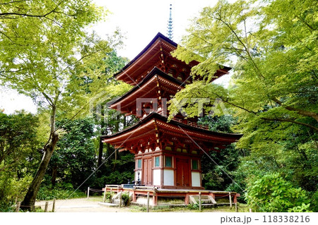 浄瑠璃寺 環境保全地域のあふれる自然の中に立つ国宝三重塔 京都府木津川市加茂町 浄瑠璃寺 環境保全地域のあふれる自然の中に立つ国宝三重塔 京都府木津川市加茂町 118338216