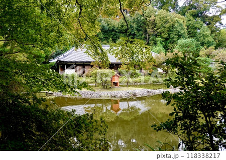 浄瑠璃寺　環境保全地域のあふれる自然の中に垣間見える本堂の風景　京都府木津川市加茂町 118338217