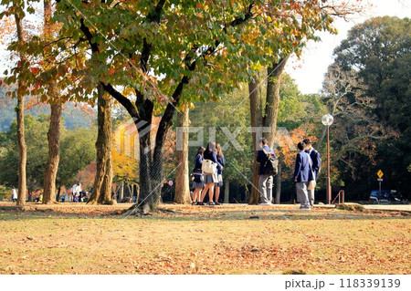 奈良公園紅葉と修学旅行生たち 118339139