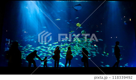 幻想的な水族館の大水槽 118339492