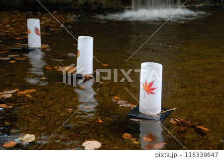 水に浮かぶランタンと落ち葉 118339647
