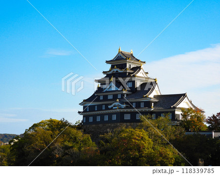 夕方の岡山城天守閣 118339785