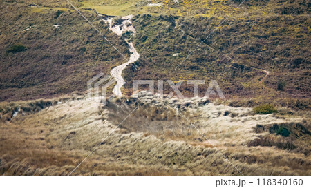 A winding dirt path through grassy hills on a sunny day in a tranquil rural landscape. 118340160
