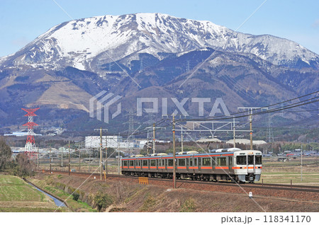 東海道本線　近江長岡ー柏原　JR東海　313系　T15編成（静岡） 118341170