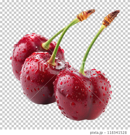 Bunch of Ripe Red Cherries with Fresh Green Stems 118341528