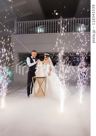 Enchanting Wedding Celebration with Sparkling Cake Cutting Ceremony 118343339