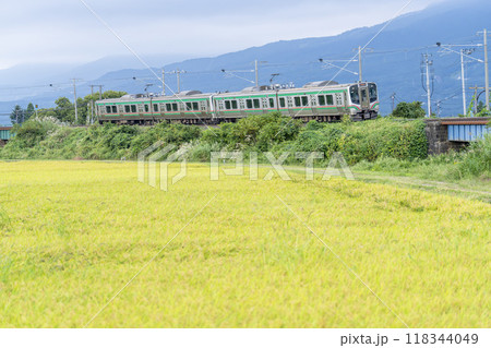 秋の稲穂と磐越西線の列車　福島県猪苗代町 118344049