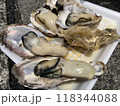 市場で売られていた新鮮な牡蠣 118344088