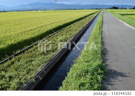 農道と農業用水路 田園風景 農道と農業用水路 田園風景 118344182