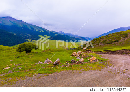 dirt road in the mountain hills at rainy summer day with tree at rainy summer day dirt road in the mountain hills at rainy summer day with tree at rainy summer day 118344272