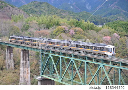 紀勢本線　三瀬谷ー滝原　JR東海　キハ85系　キハ85-1102（名古屋）　南紀 118344392
