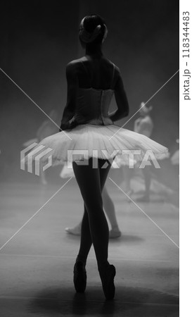 Ballerinas in white tutus, view from backstage. Black and white photos Ballerinas in white tutus, view from backstage. Black and white photos 118344483