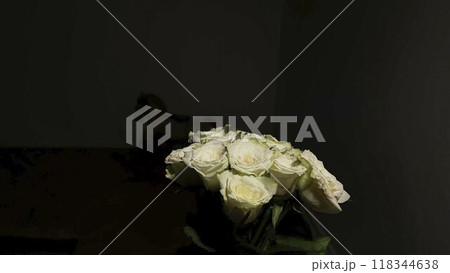 White roses blooming on a dark background. Rotating white roses on black background. White roses and noir vibe White roses blooming on a dark background. Rotating white roses on black background. White roses and noir vibe 118344638