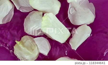 White rose petals in sparkling water. Tiny rose petals in water on purple background. A concept for beauty, spa and wellness 118344641