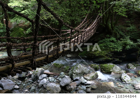奥祖谷二重かずら橋　女橋の景観　(徳島県　三好市） 118344844