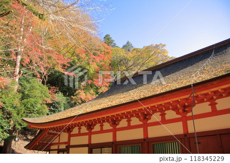 奈良の桜と紅葉の名所談山神社 118345229