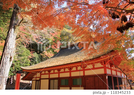 奈良の桜と紅葉の名所談山神社 奈良の桜と紅葉の名所談山神社 118345233