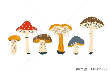 autumn forest vector mushroom set, flat style illustrations	 118345275