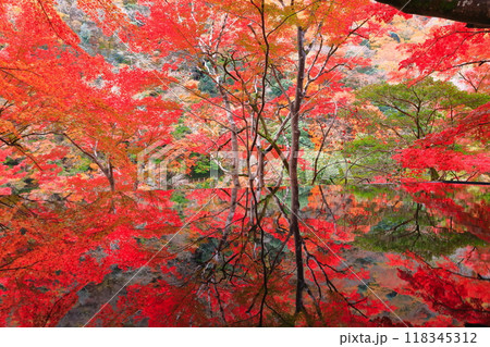 【京都府】嵐山祐斎亭の水鏡と紅葉 【京都府】嵐山祐斎亭の水鏡と紅葉 118345312