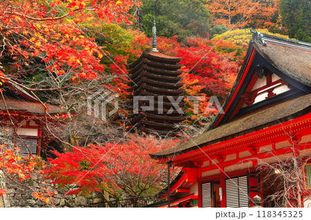 【奈良県】談山神社の紅葉（十三重塔と神廟拝所） 118345325