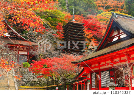 【奈良県】談山神社の紅葉(十三重塔と神廟拝所) 【奈良県】談山神社の紅葉(十三重塔と神廟拝所) 118345327