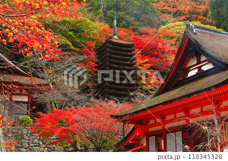 【奈良県】談山神社の紅葉（十三重塔と神廟拝所） 118345328
