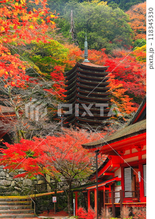 【奈良県】談山神社の紅葉(十三重塔と神廟拝所) 【奈良県】談山神社の紅葉(十三重塔と神廟拝所) 118345330