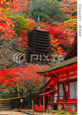 【奈良県】談山神社の紅葉（十三重塔と神廟拝所） 118345331