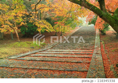 【奈良県】東大寺　二月堂に続く石段と紅葉 118345338