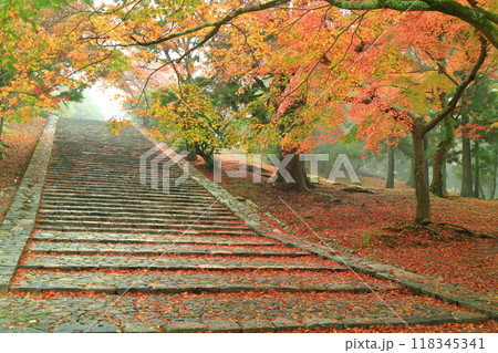【奈良県】東大寺 二月堂に続く石段と紅葉 【奈良県】東大寺 二月堂に続く石段と紅葉 118345341