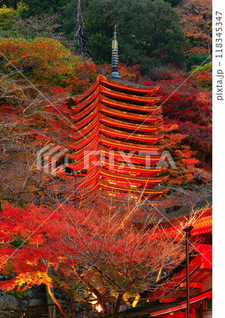 【奈良県】談山神社の紅葉ライトアップ(十三重塔) 【奈良県】談山神社の紅葉ライトアップ(十三重塔) 118345347