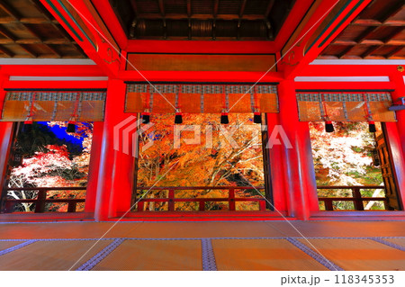 【奈良県】談山神社拝殿から見た紅葉ライトアップ 118345353