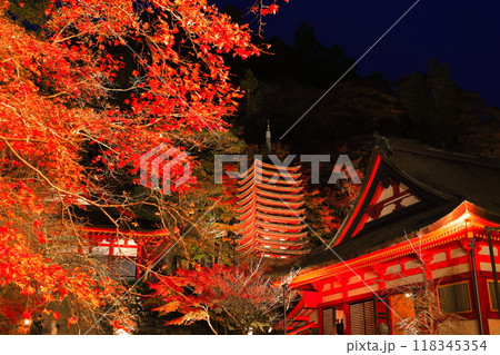 【奈良県】談山神社の紅葉ライトアップ（十三重塔と神廟拝所） 118345354