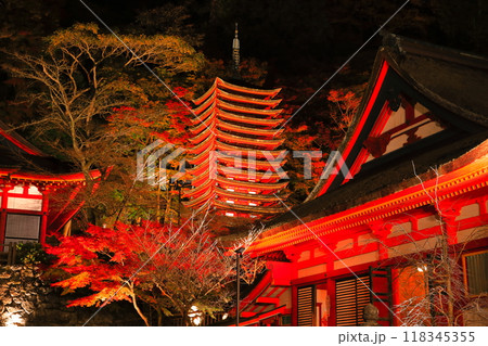 【奈良県】談山神社の紅葉ライトアップ（十三重塔と神廟拝所） 118345355