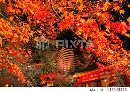 【奈良県】談山神社の紅葉ライトアップ(十三重塔と神廟拝所) 【奈良県】談山神社の紅葉ライトアップ(十三重塔と神廟拝所) 118345356