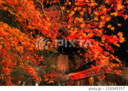 【奈良県】談山神社の紅葉ライトアップ（十三重塔と神廟拝所） 118345357